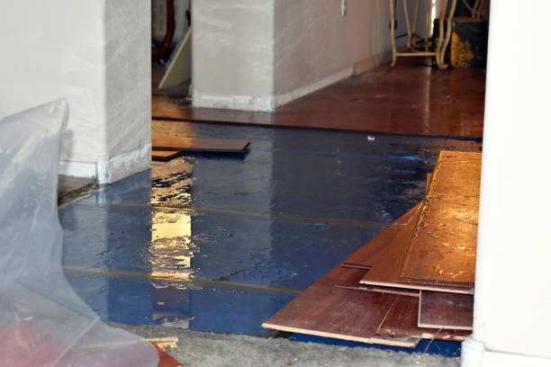 Professional Basement Flood Cleanup technician working in Farley, IA